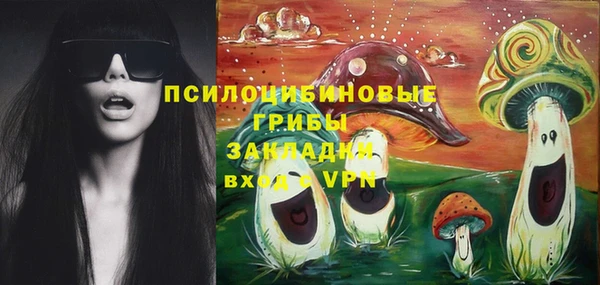 стаф Балахна