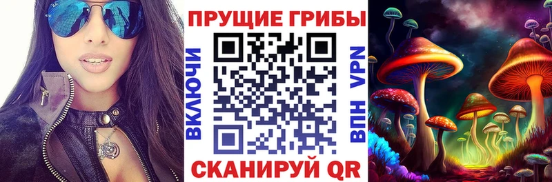 Псилоцибиновые грибы MAGIC MUSHROOMS  Хилок 